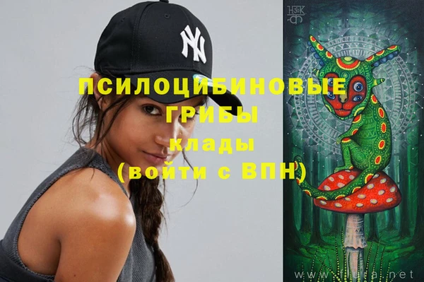 хмурый Алексеевка