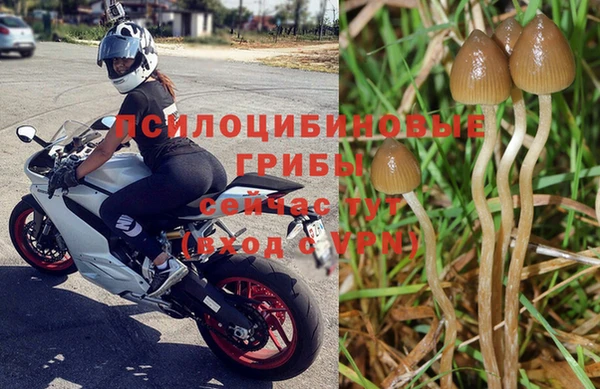 хмурый Алексеевка