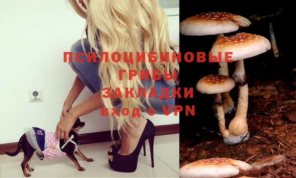 круглые Алзамай